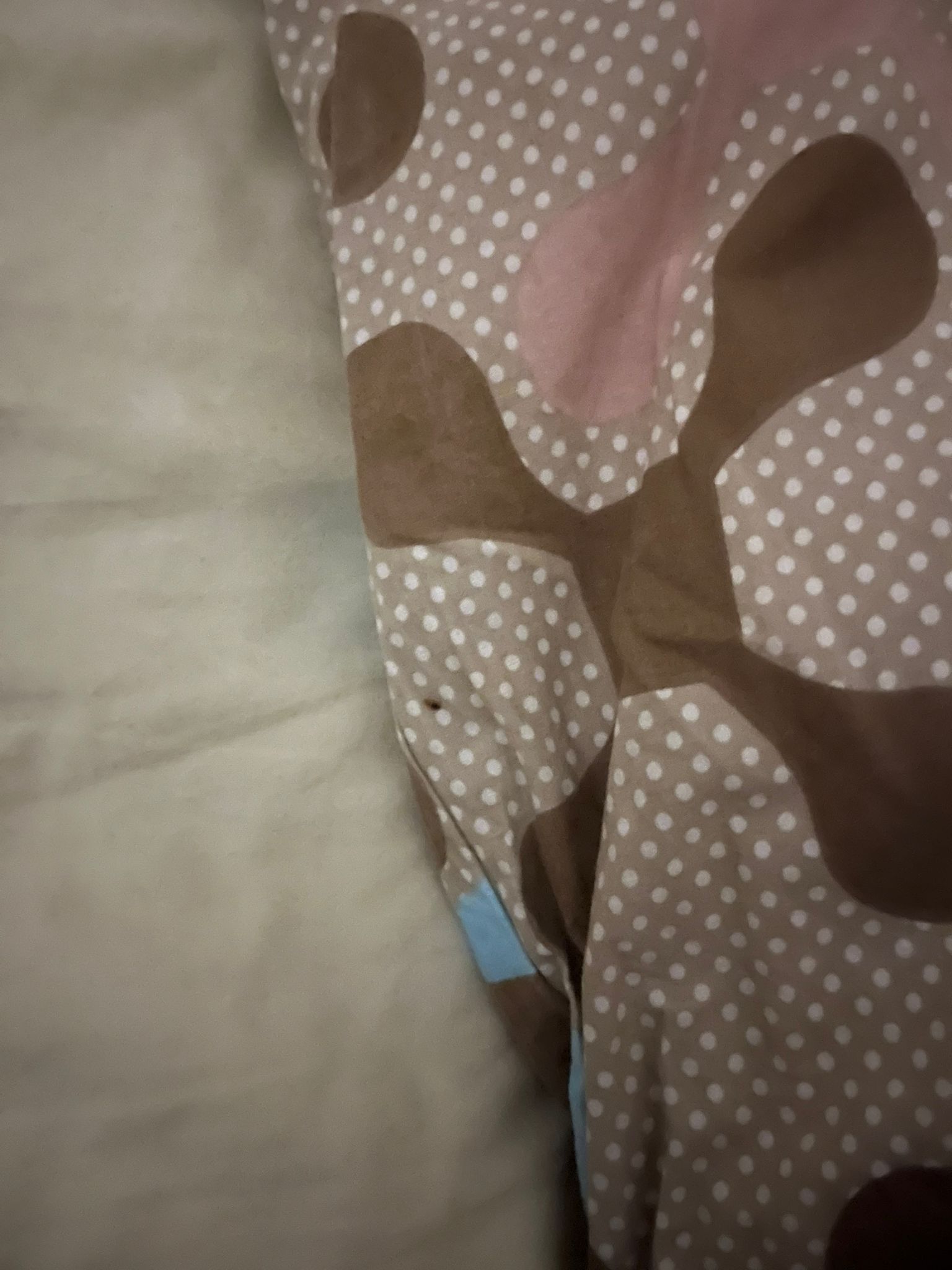 Bolu Hayreddin Tokadi Kyk Kız Yurdu 1