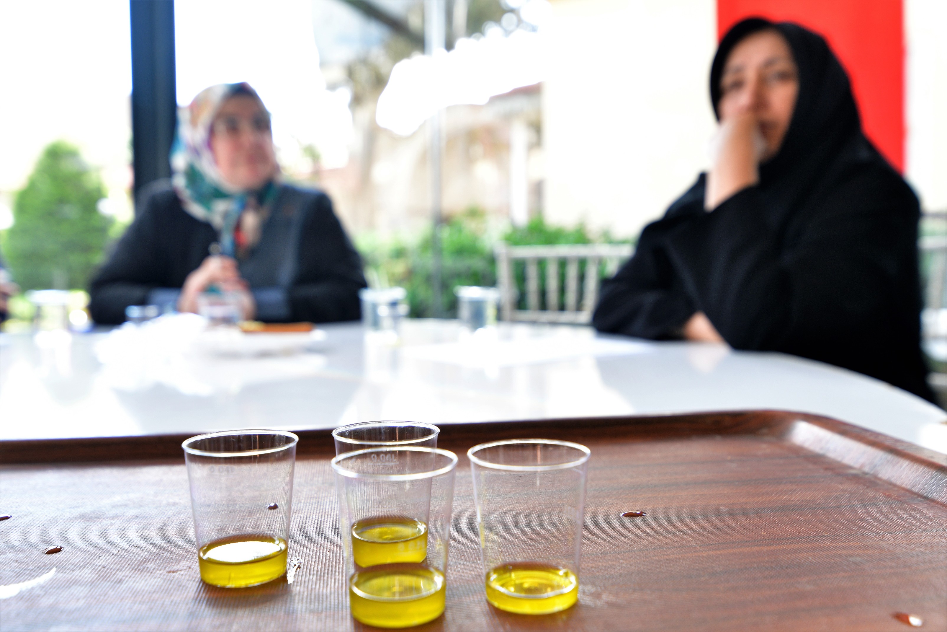 Bornova Zeytin Hasatına Başladı!