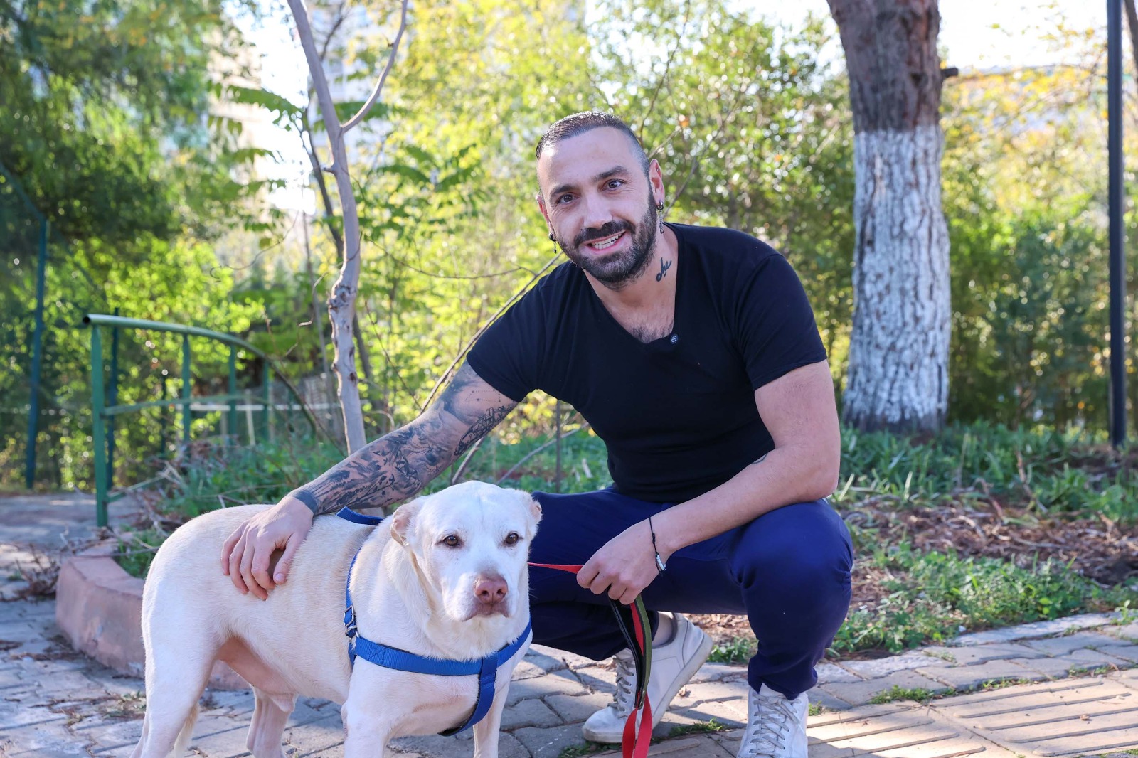 Dijital vitrin ve başvuru kanalları