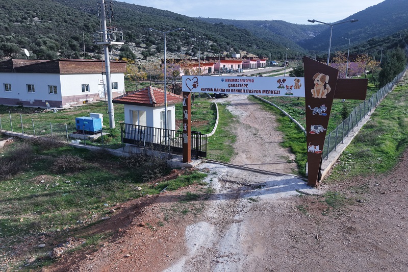 Çakaltepe Hayvan Bakım Ve Rehabilitsayon Merkezi