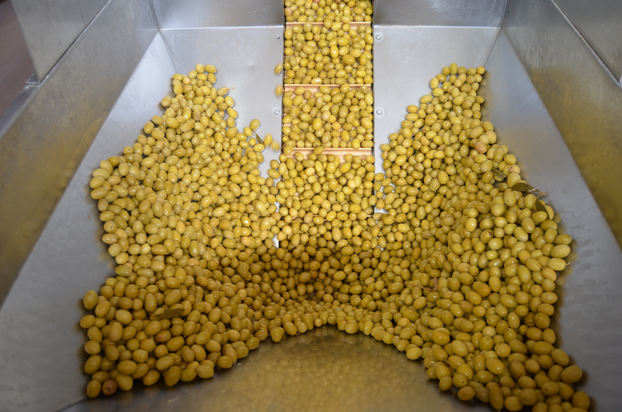 Durma Noktasına Gelen Zeytinyağı Ihracatı