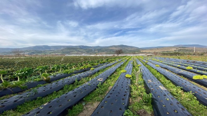 “Verim yüzde 30–40 arttı”