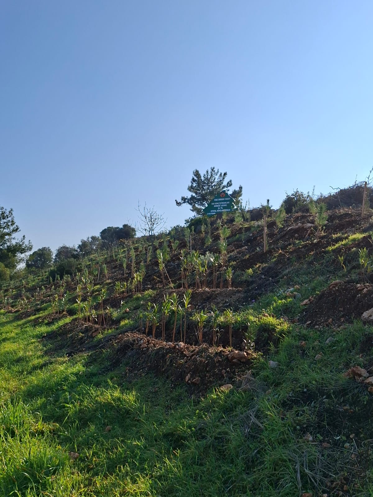 Egi̇ad’dan Açık Mesaj1