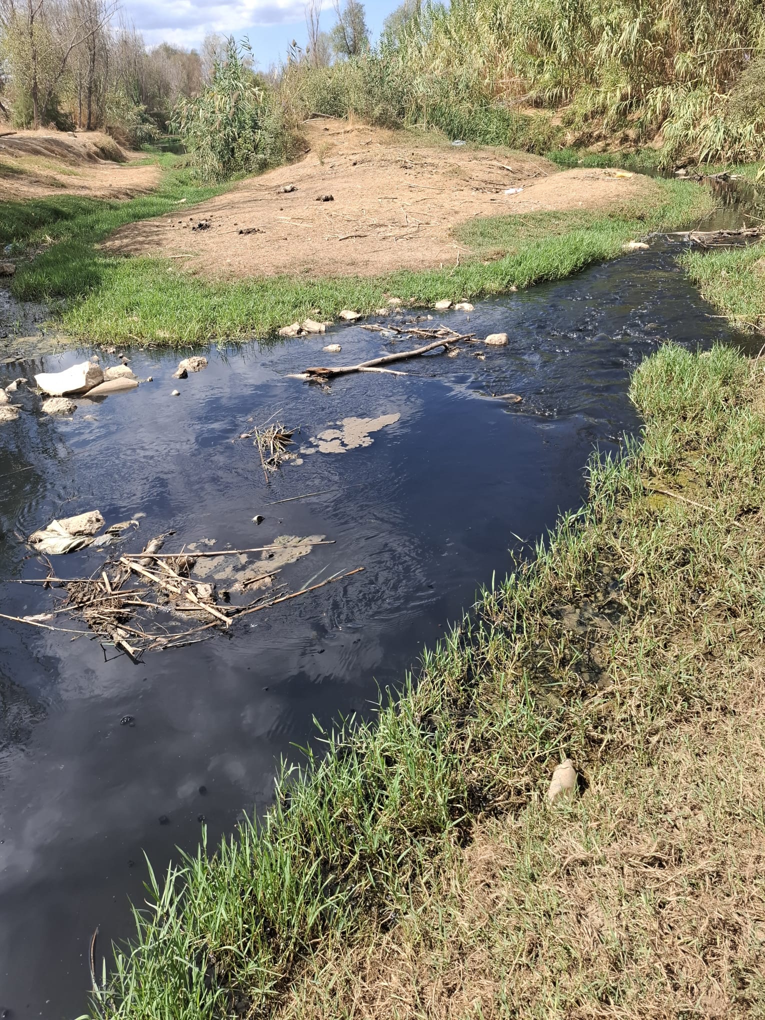 ‘Bataklıklar flamingonun sevdiği ortamlar’