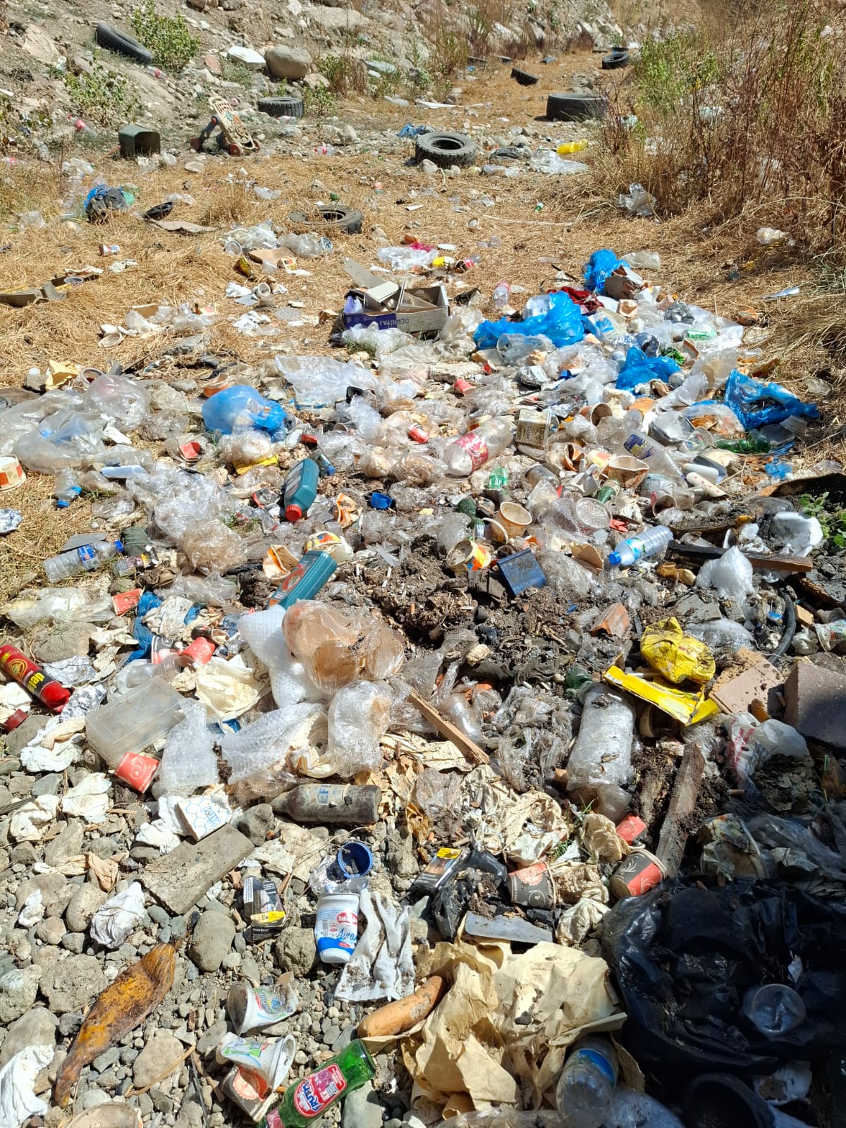 Şehir şehir, ilçe ilçe saydı…