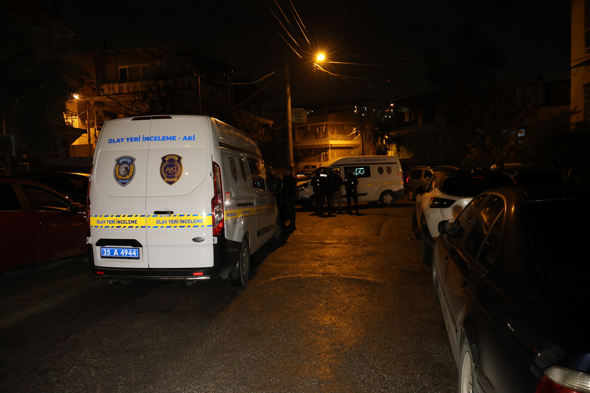 H I R S I Z L I K I C I N G I R D I K L E R I E V I N S