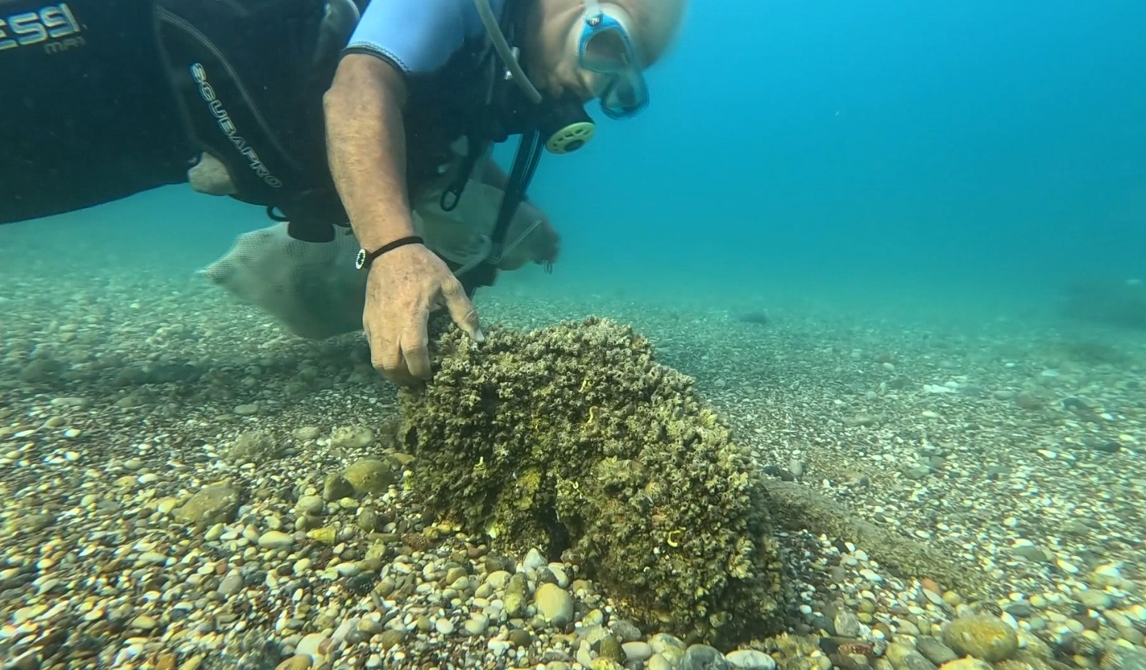 I S T I L A C I I S T I R I D Y E V E M I D Y E L E R Y E R L I D E 1051586 312058