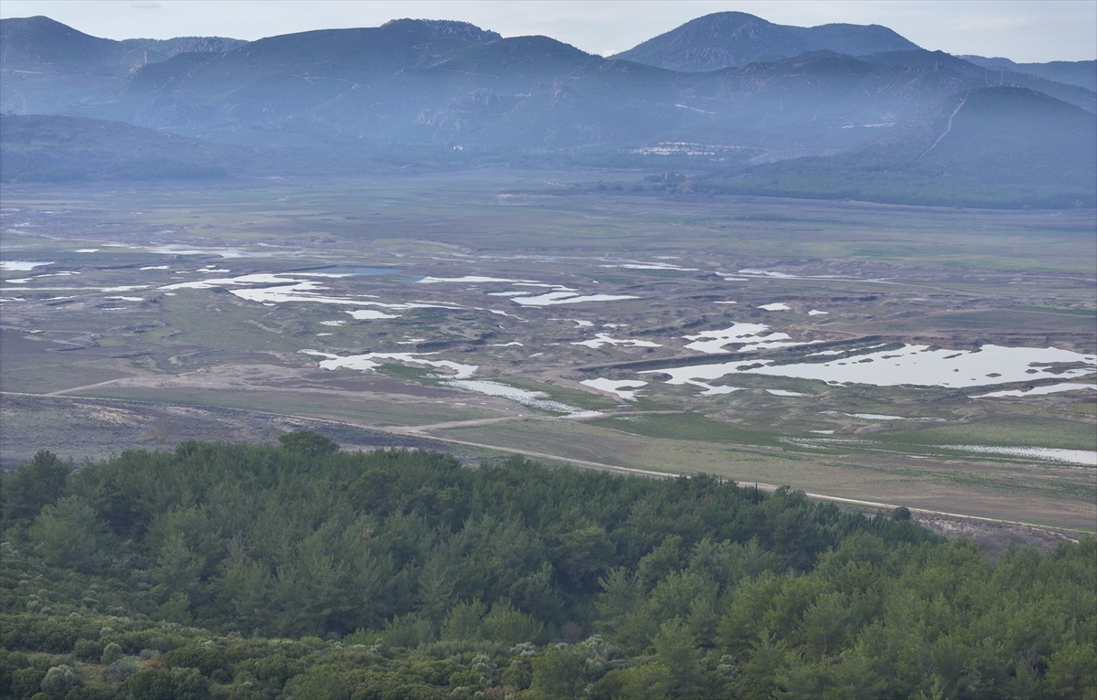 Acil eylem planı: Tüketimi sınırlamak hayati öneme sahip