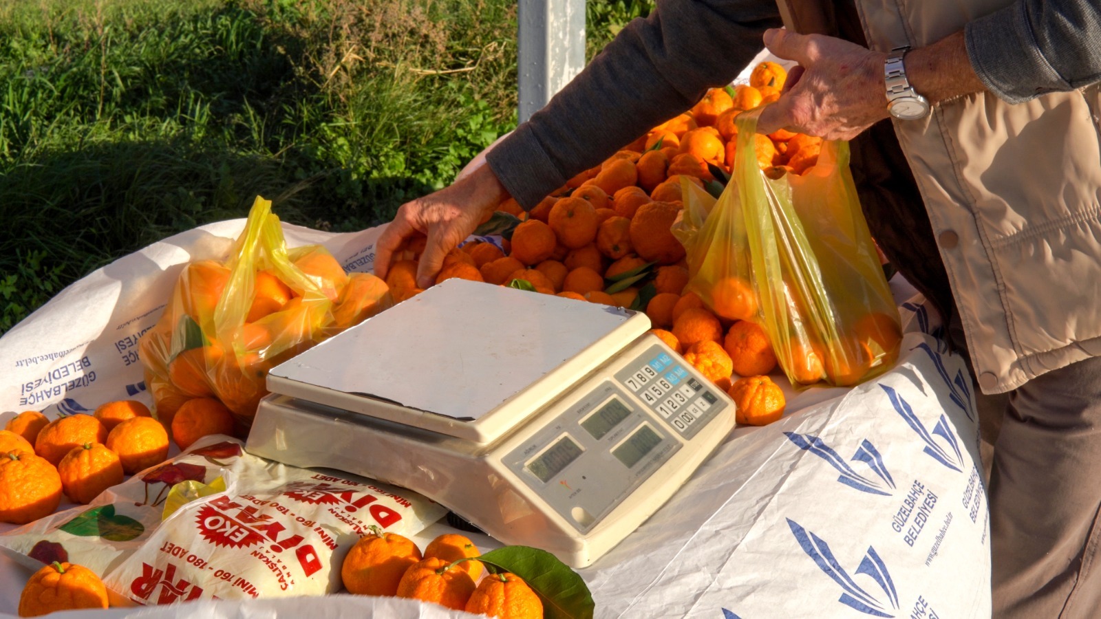 Yerel üreticiye doğrudan destek, halkçı belediyecilik
