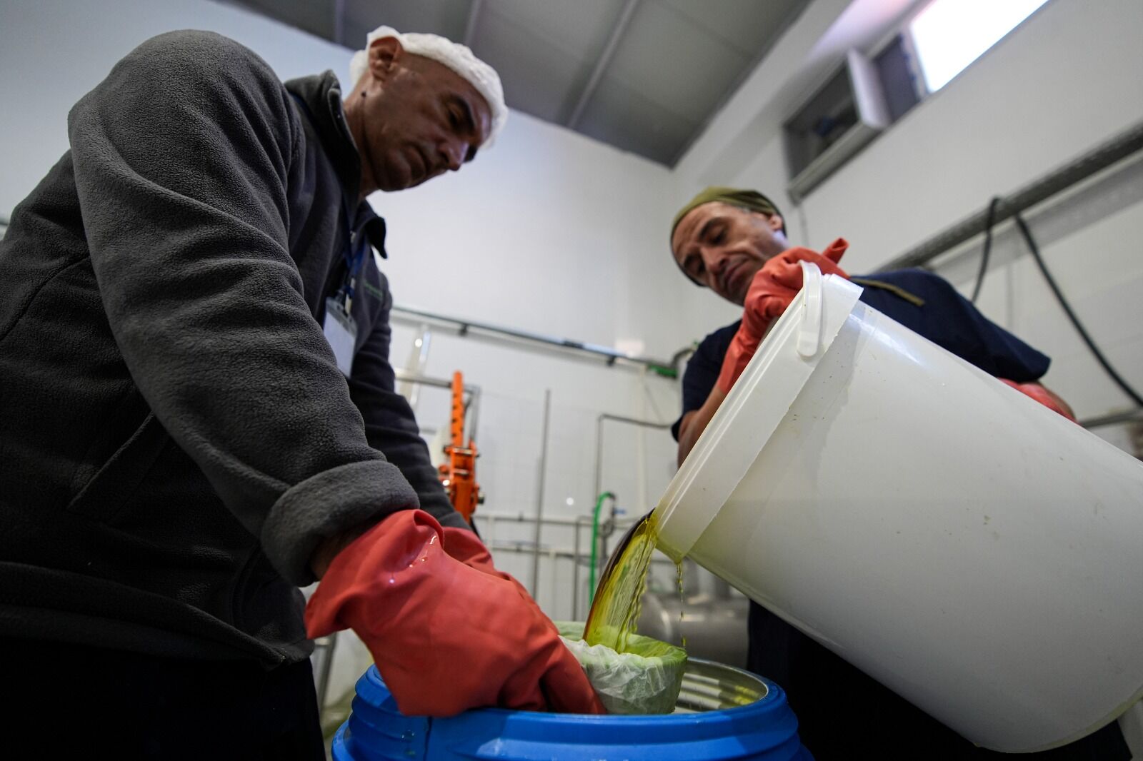 Kadim Kültür Anadolu