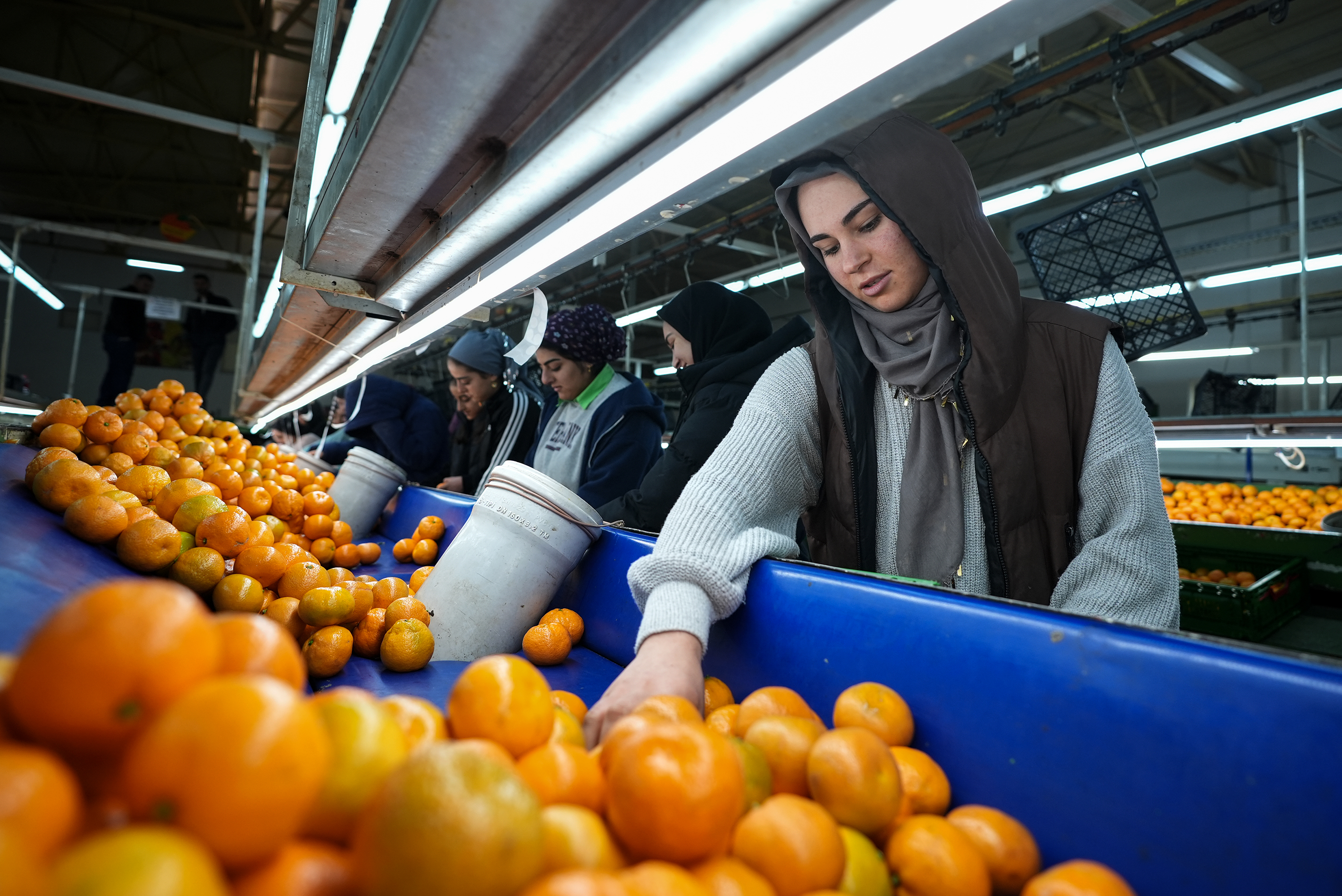 Mandalinada Tarihi Rekor!3