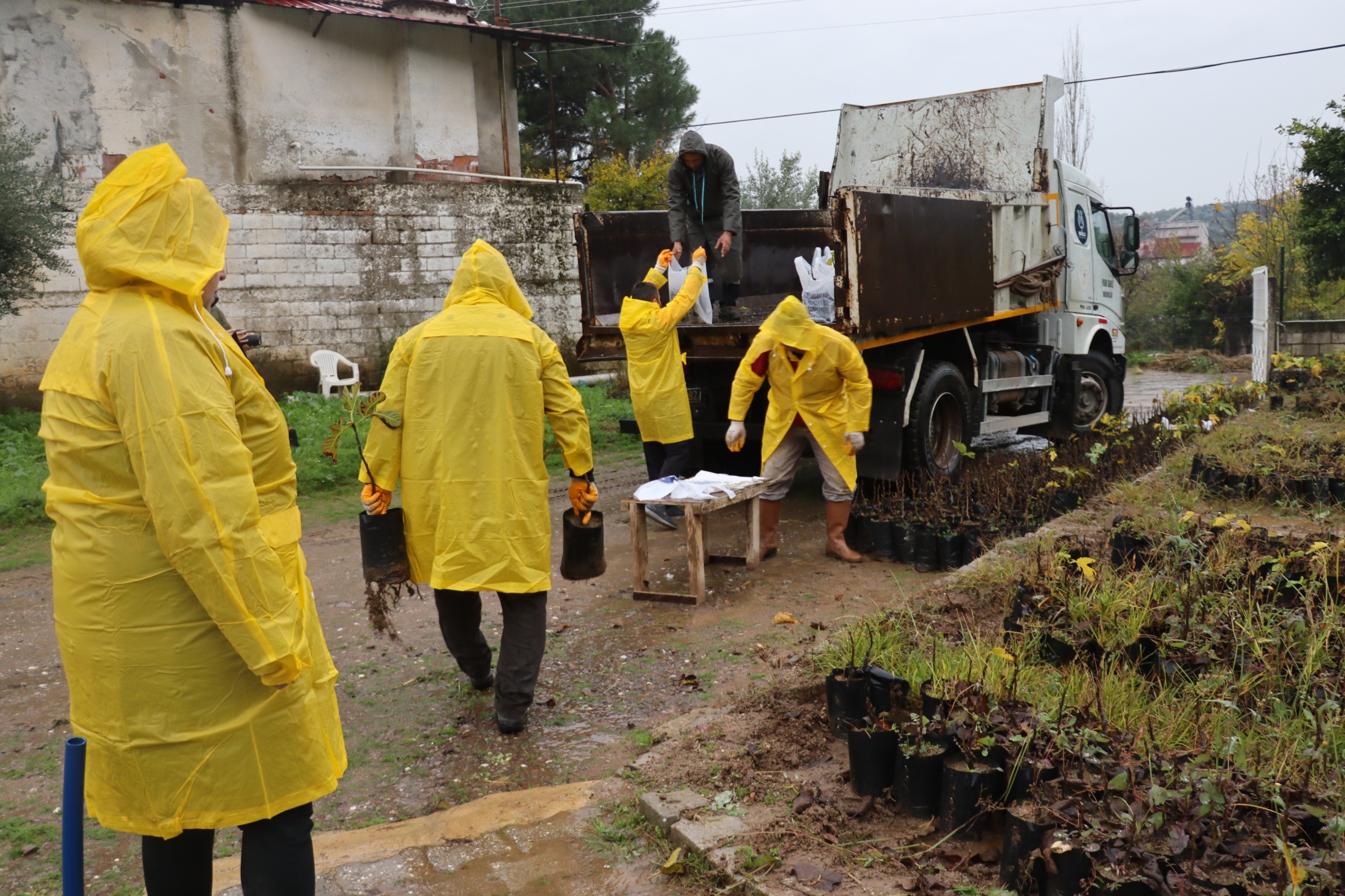 Nazilli’nin Geleceğini Fidanlarla Büyütüyoruz”1