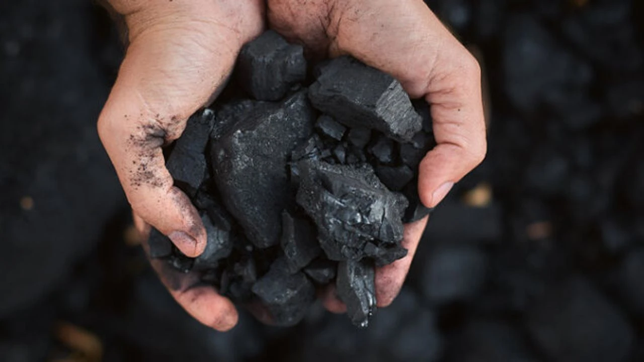 ‘Bu kömürlerle ilgili denetleme yapılsın’