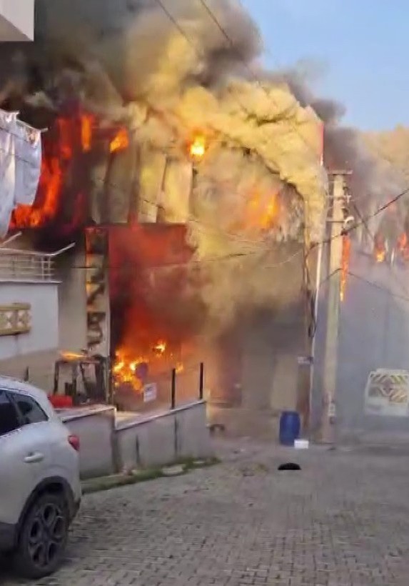 Parfüm Fabrikası 2