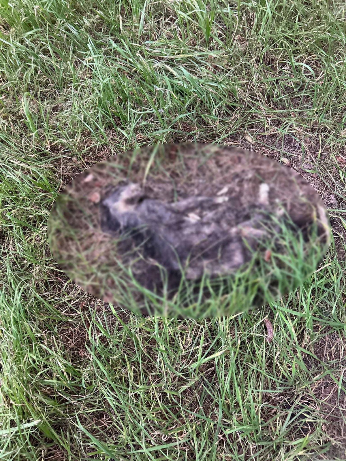 Vatandaşların çağrısı: "Eski güzel günleri özlüyoruz"