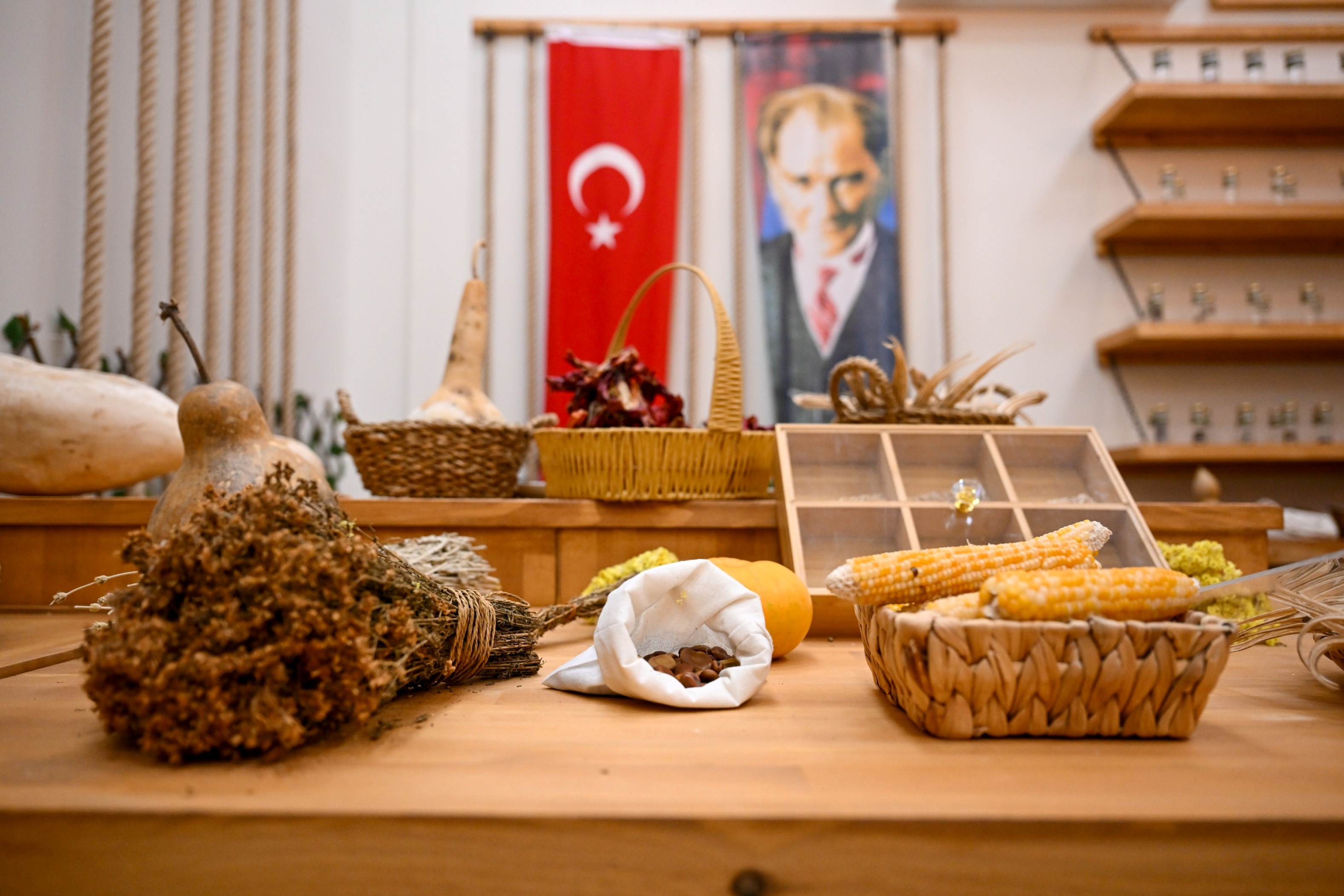 Bornova’da Yerel Tohum Seferberliği Büyüdü!1