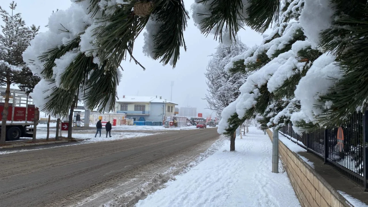 Bölge bölge beklenen sıcaklık değerleri ve don tehlikesi