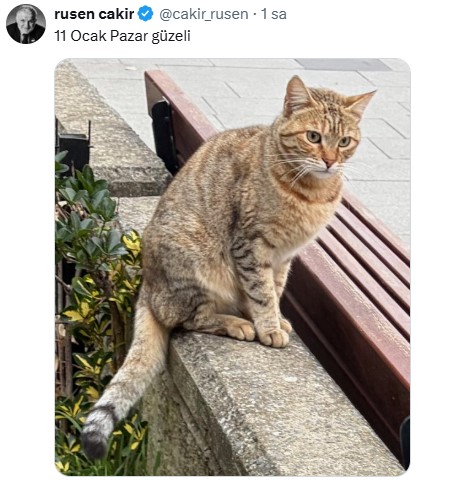 Ruşen Çakır'an ilginç paylaşım