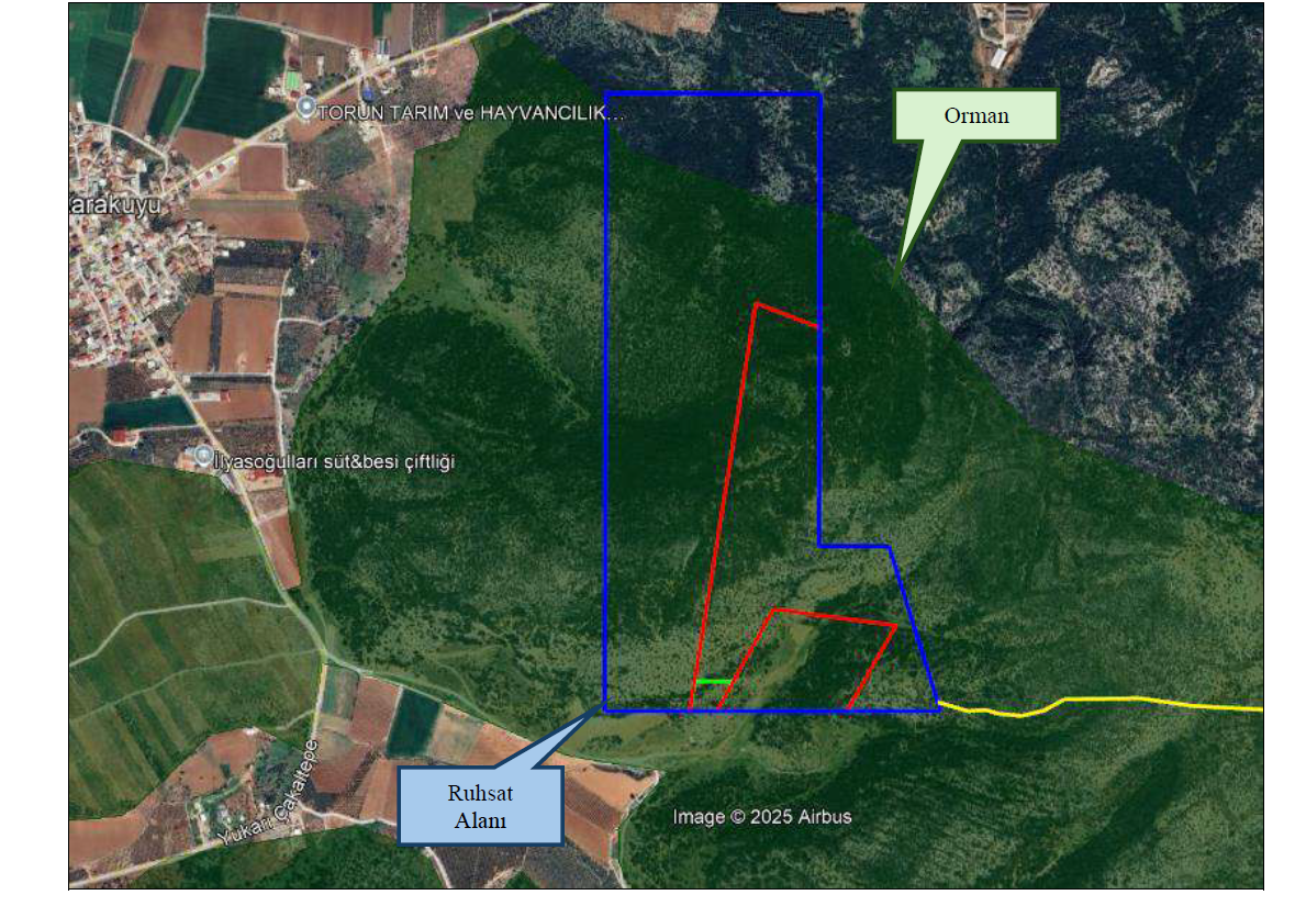 Yine orman arazisinin içinde!