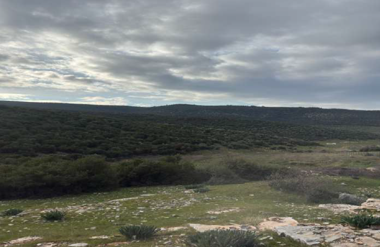 Yerleşim alanlarına kuş uçuşu 1 kilometre