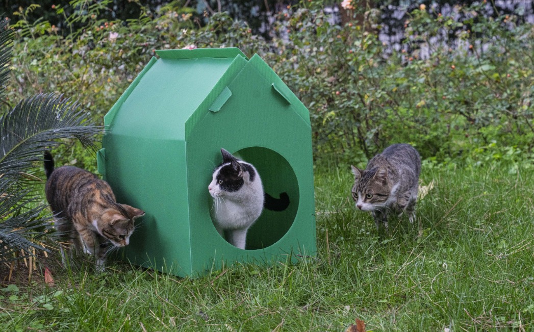 "Özverili çalışma ve hızlı kurulum"