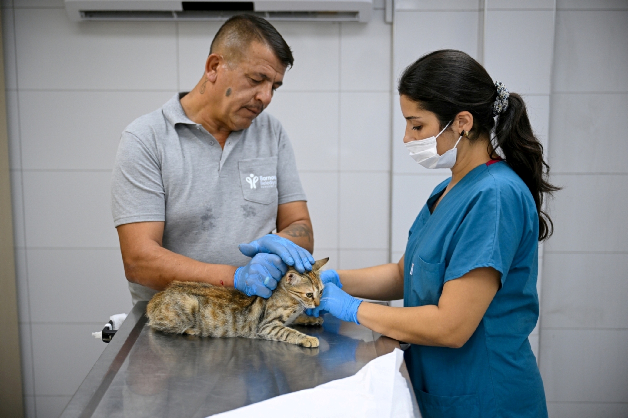 Eros Kedi Kliniği Kısa Sürede Merkez Haline Gel