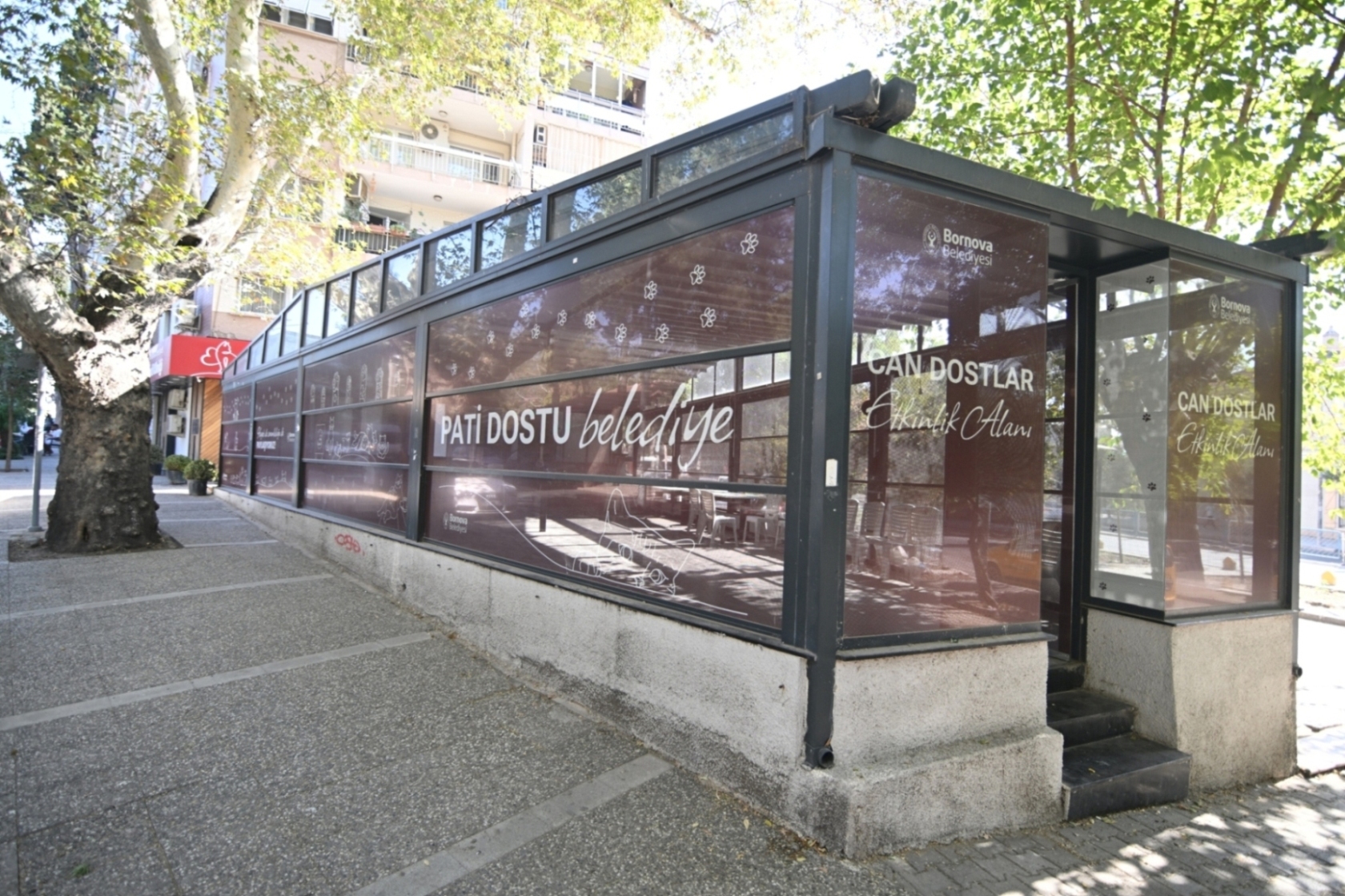 Eros Kedi Kliniği Kısa Sürede Merkez Haline Geldi