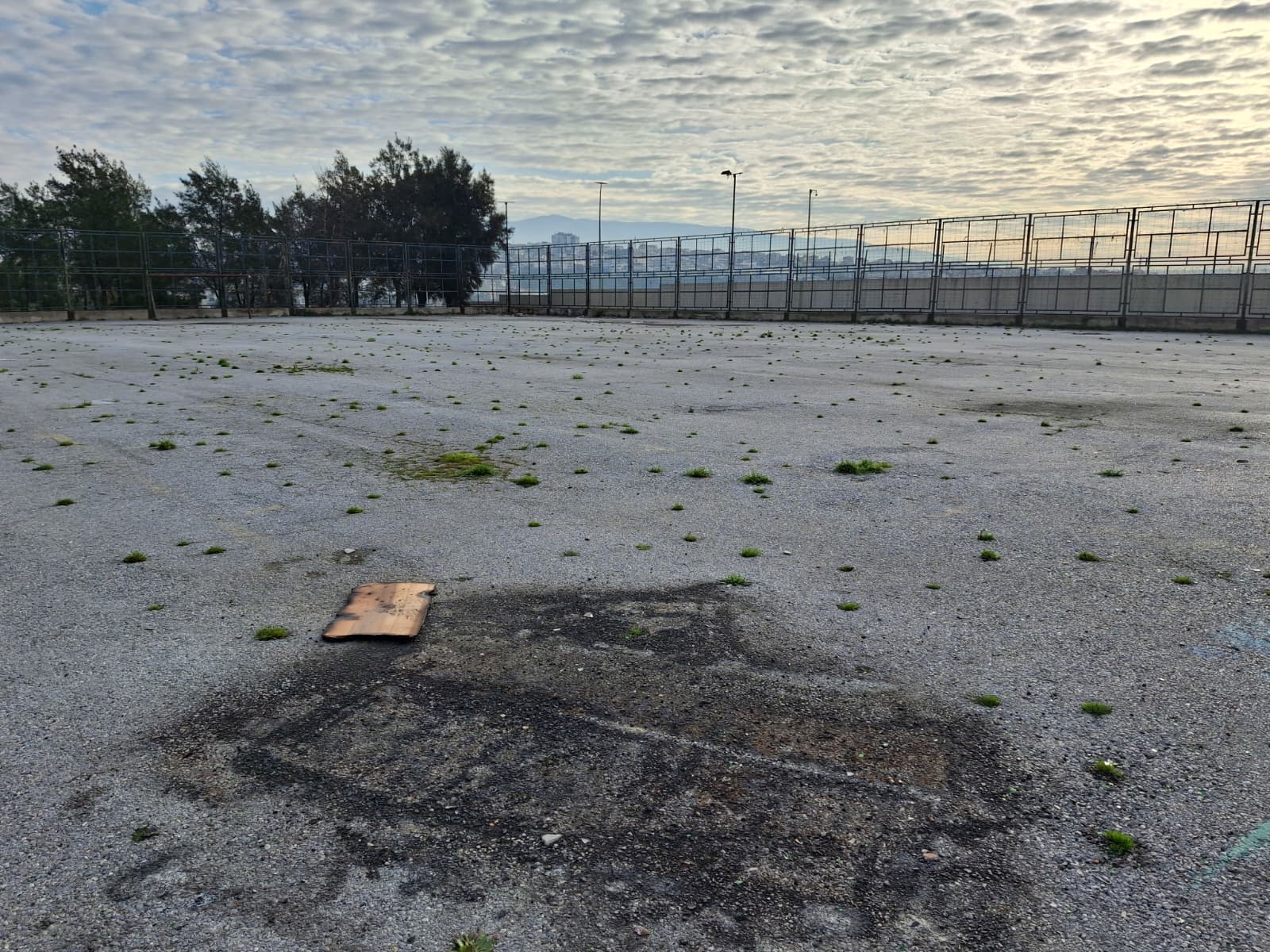 “26 tane amatör spor kulübümüz var”