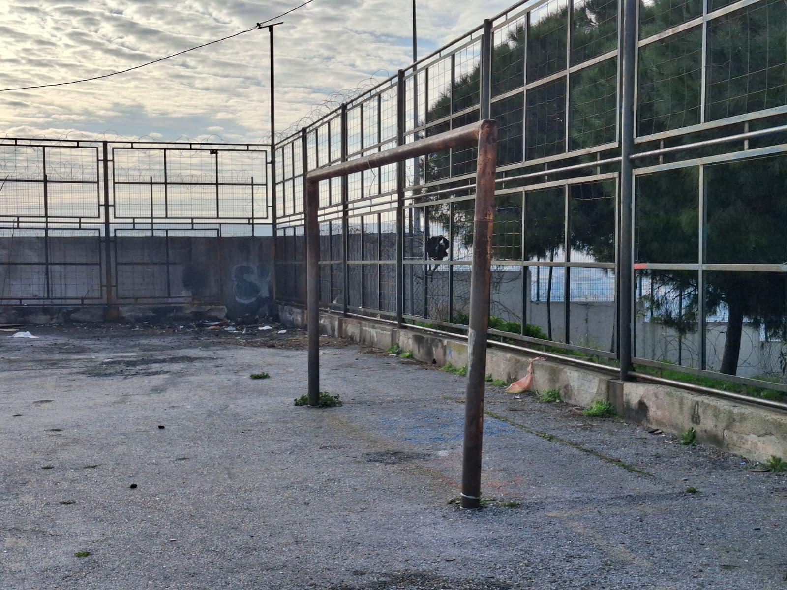 “26 tane amatör spor kulübümüz var”