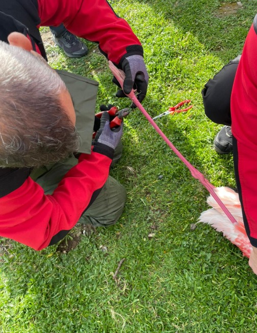İnciraltı’nda zamana karşı kritik operasyon