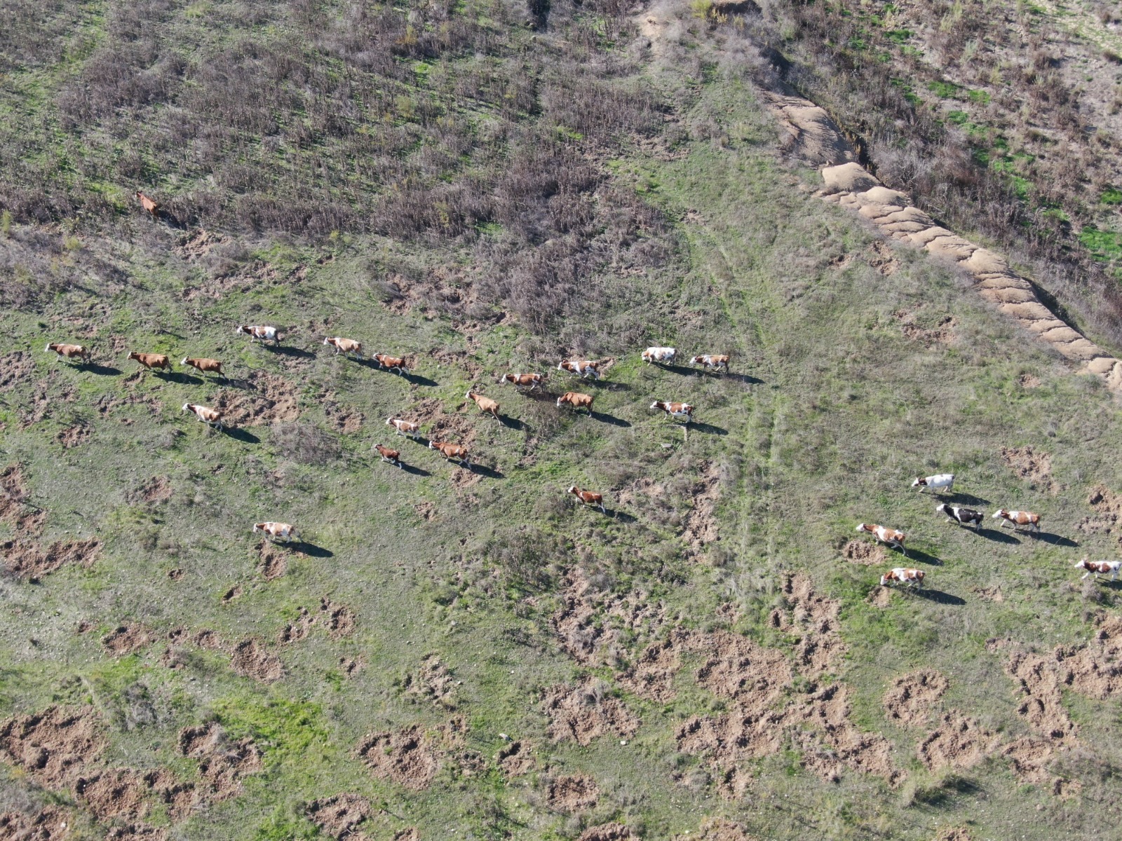 Alaçatı Kutlu Aktaş Barajı’nda bir günde yüzde 10’luk mucize