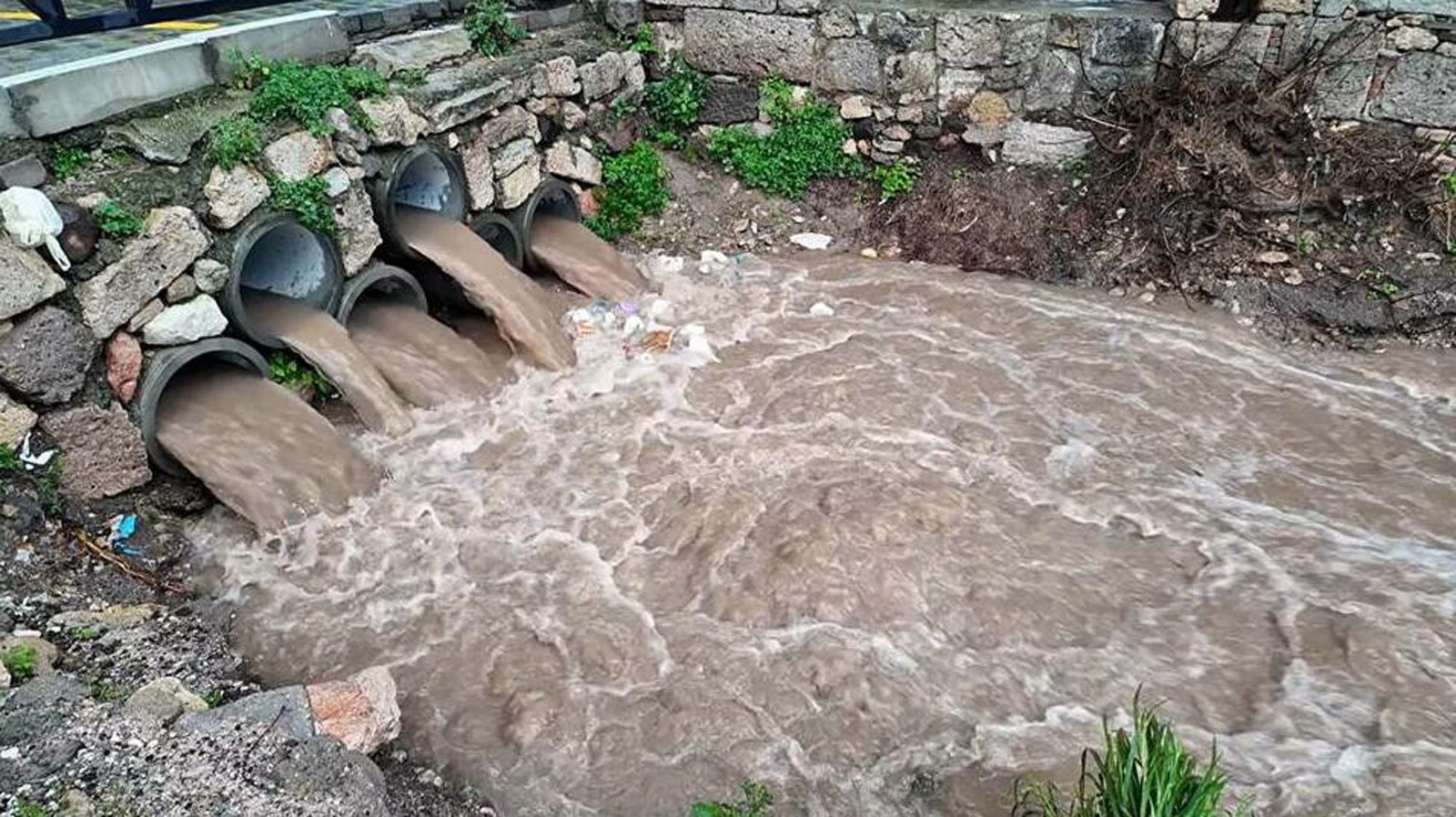 Foça’da yarım saatlik sağanak dere yataklarını taşırdı