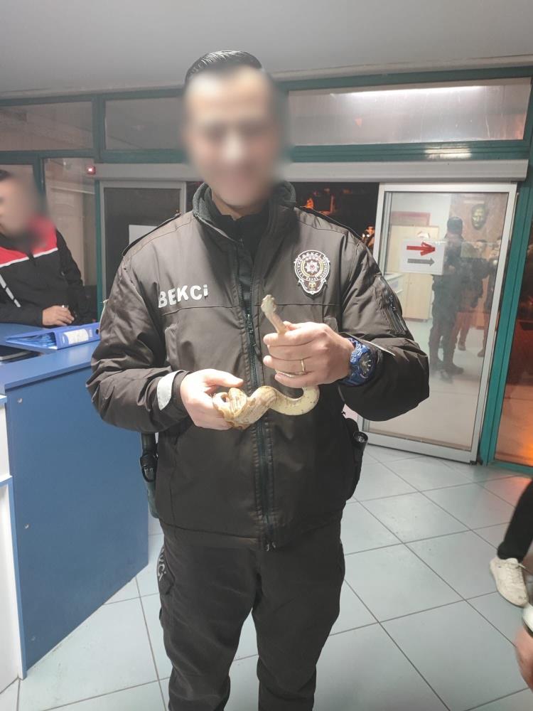 İzmir'de Kafede Yılanla Gezdi, 12 Bin Lira Ceza Yedi