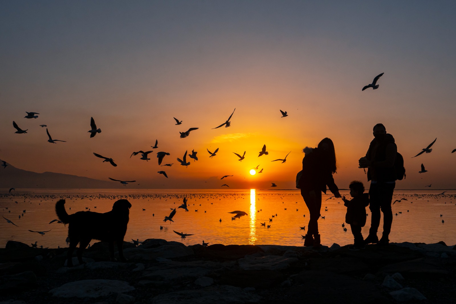Karşıyaka’da Kardeş Şehirler Için Uluslararası Fotoğraf Yarışm