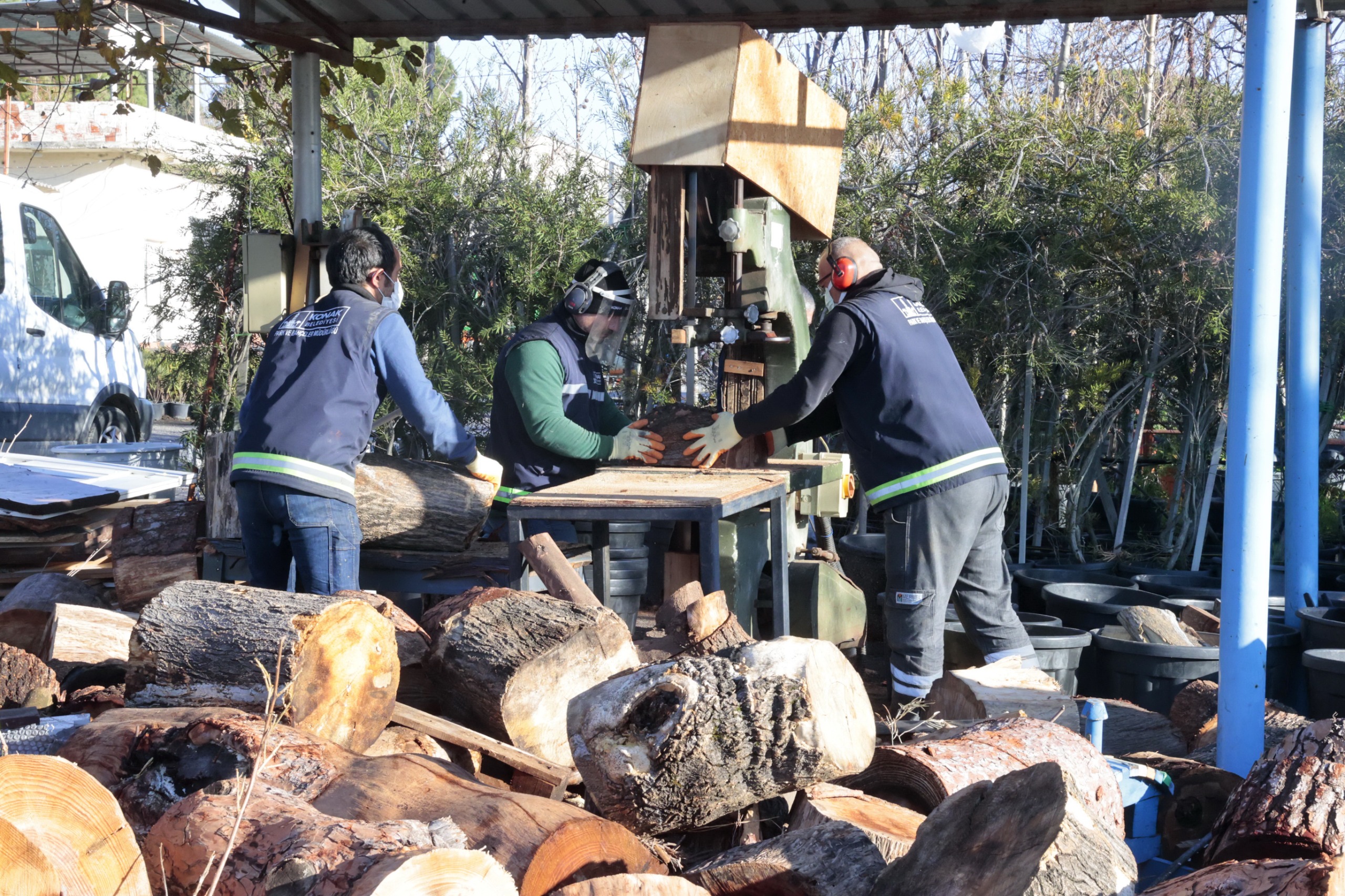 Konak'ta Kış Dayanışması Budanan Ağaçlar Yuvaları Isıtıyor (2)