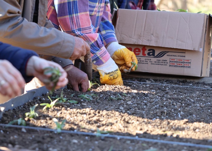 Menderes’te katma değerli tarım dönemi