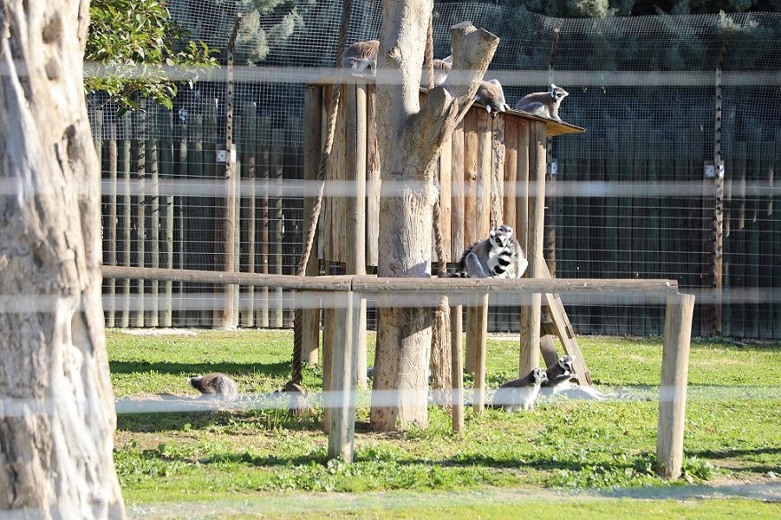 Menderes’te Çocuklara Dopdolu Yarıyıl Tatili2