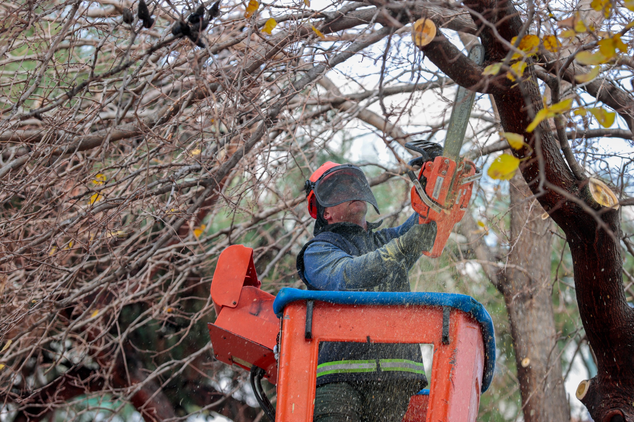 Öğrenciler Tatilde, Konak Belediyesi Ekipleri Işbaşında (3)