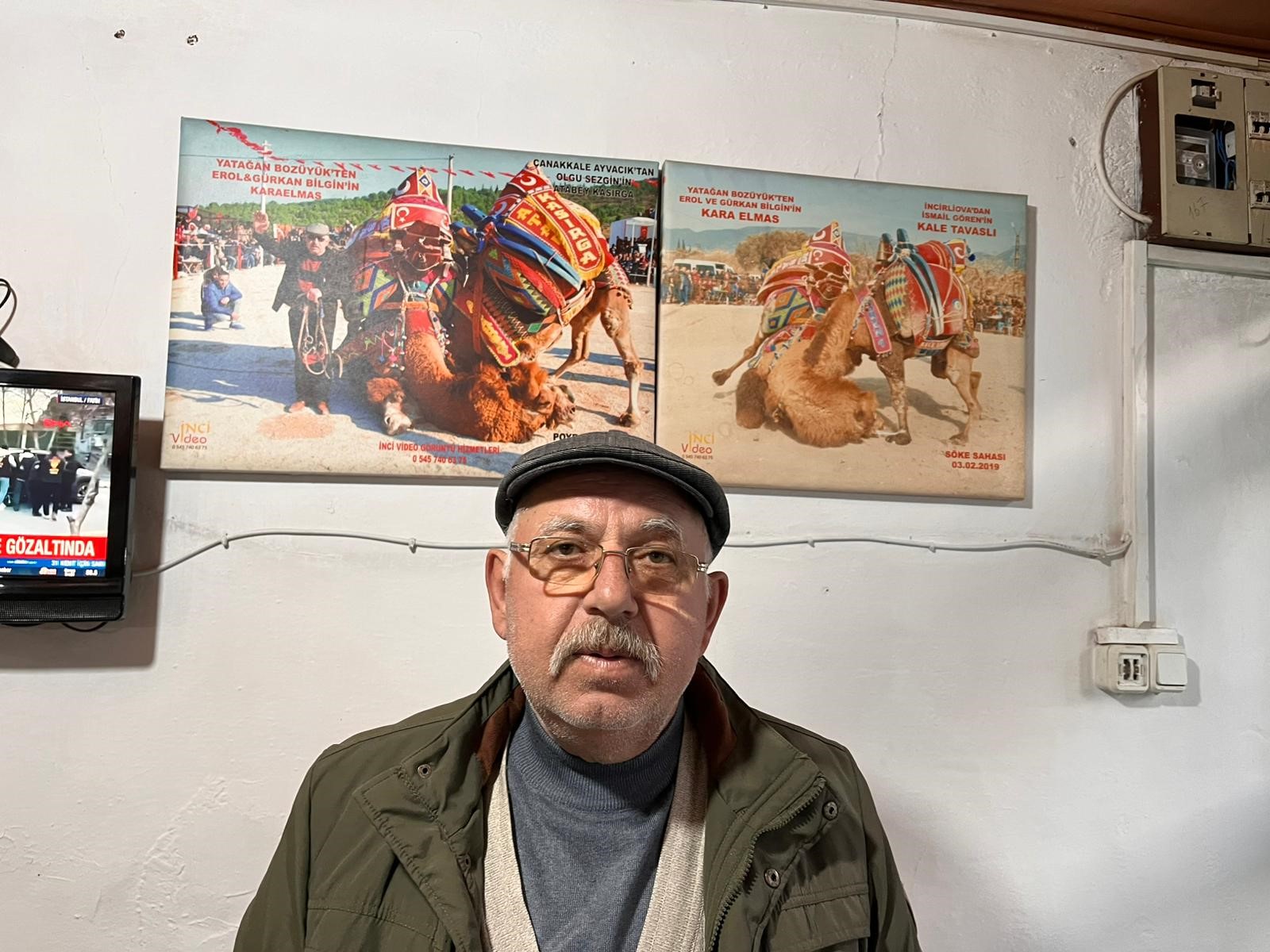 Şap Hastalığı Deve Güreşlerini Durdurdu1