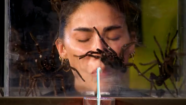 Survivor'da Rtük'e Takılan Gizemli Ceza Ortaya Çıktı