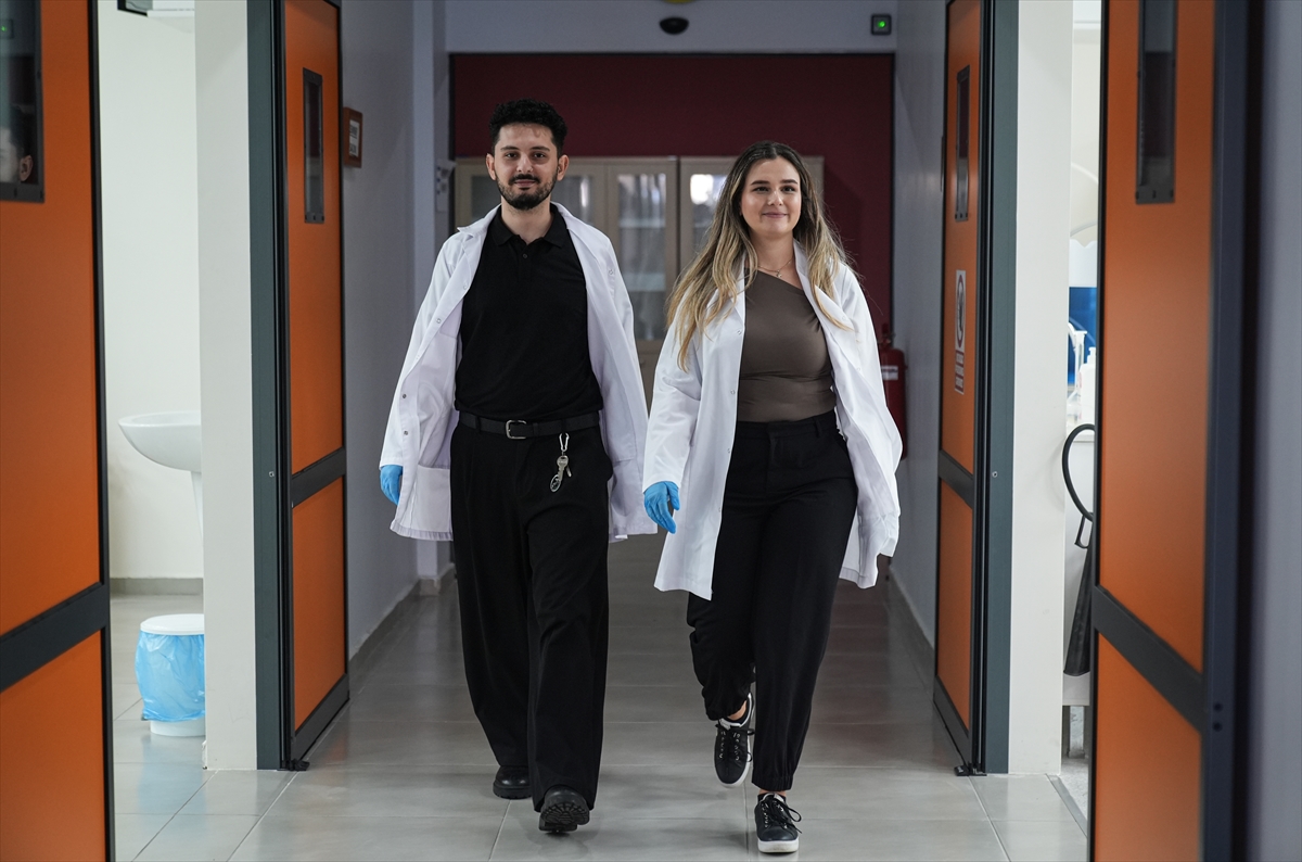 Biyosensör nasıl çalışıyor?