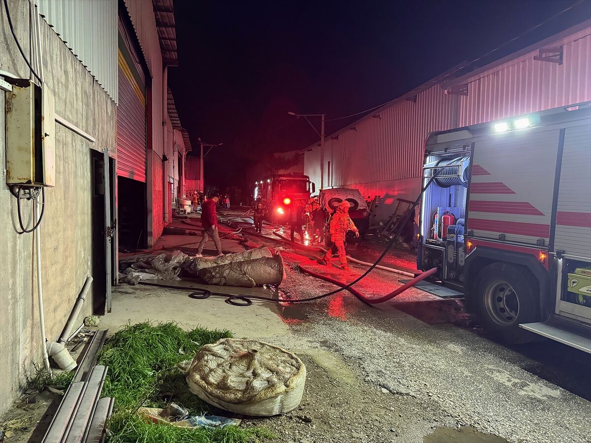 Depo alanlarına sıçradı