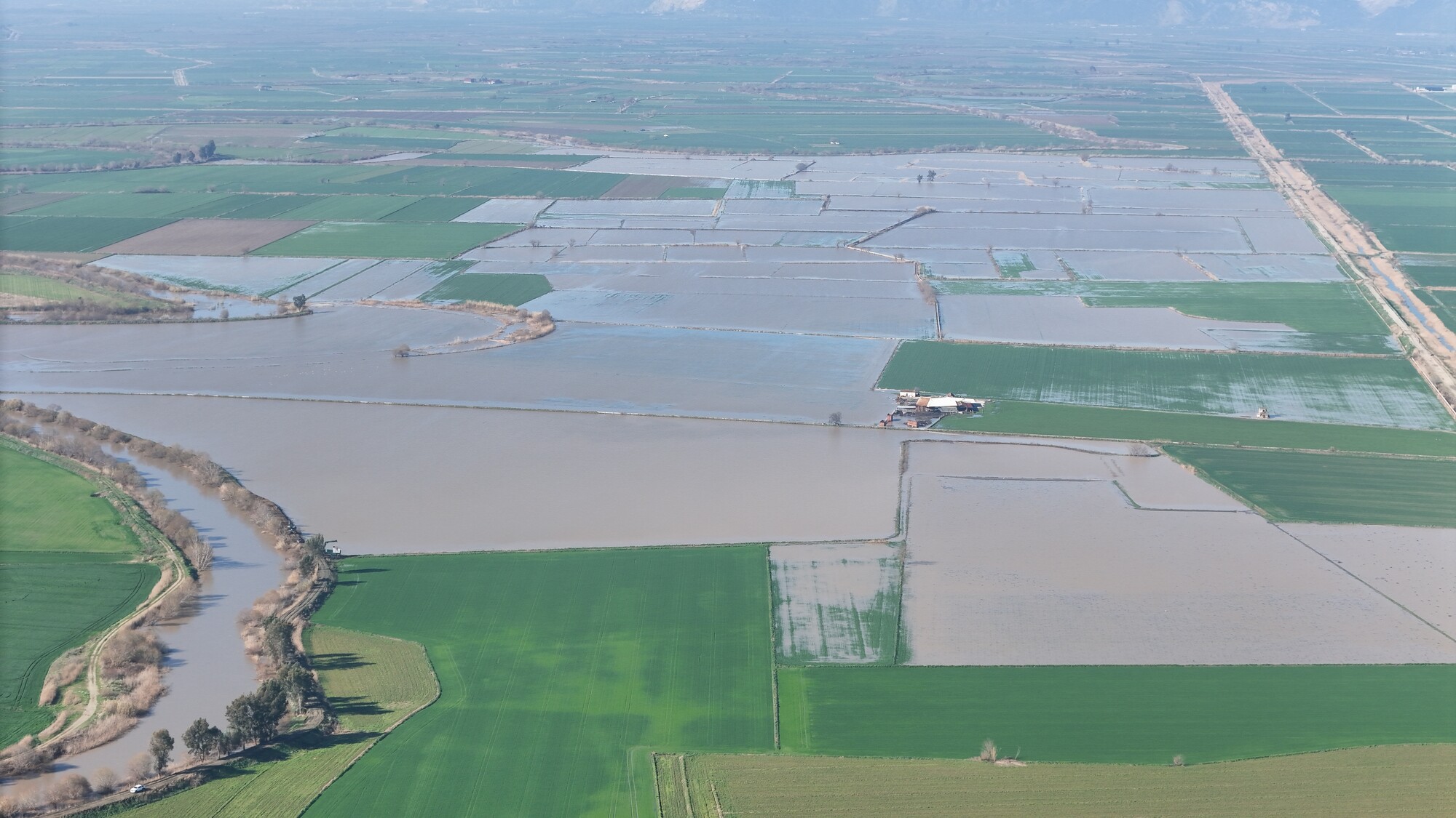 Büyük Menderes Taştı, Tarım Araz
