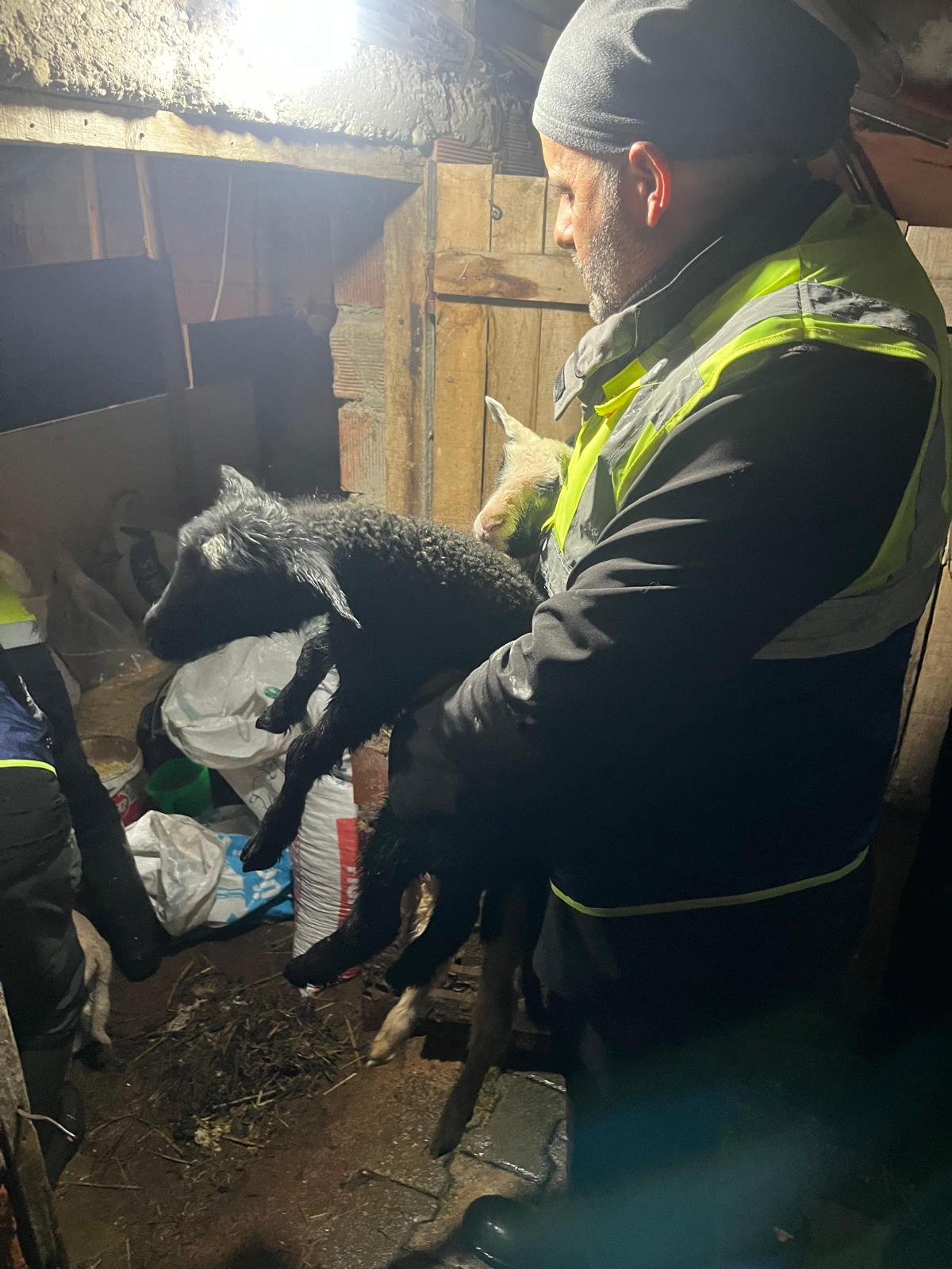 Büyükşehir Yardım 1-1