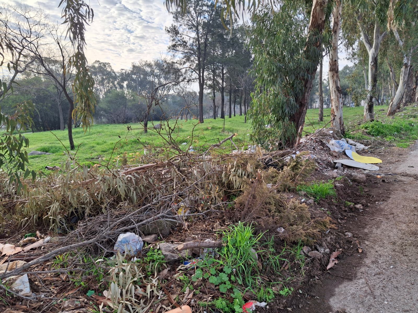 İzmir’in Şehitler Korusu’nun sesini duyan var mı!