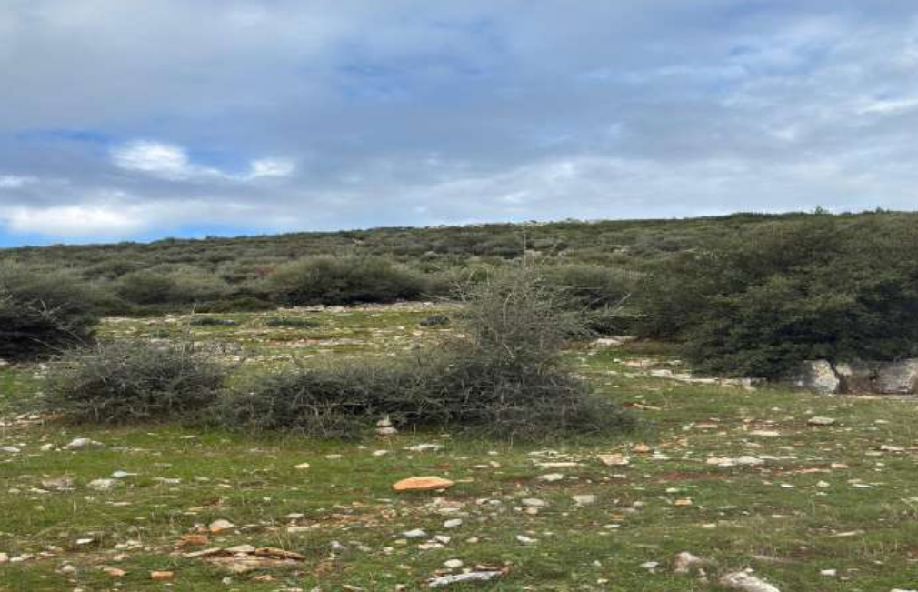 Projede 1 milyon ton/yıl üretim planlanıyordu