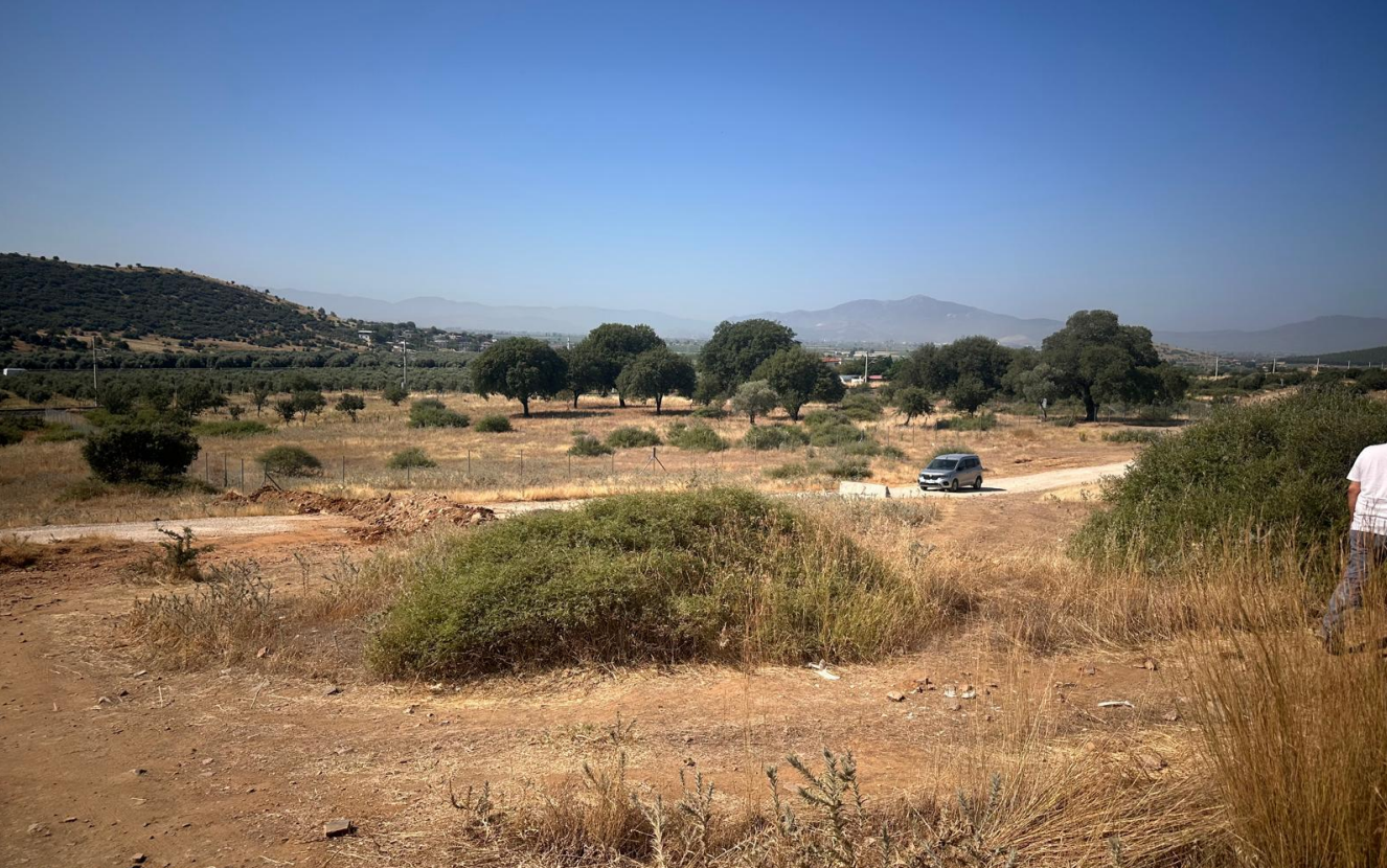 Zeytinlik uyarısı belirleyici oldu