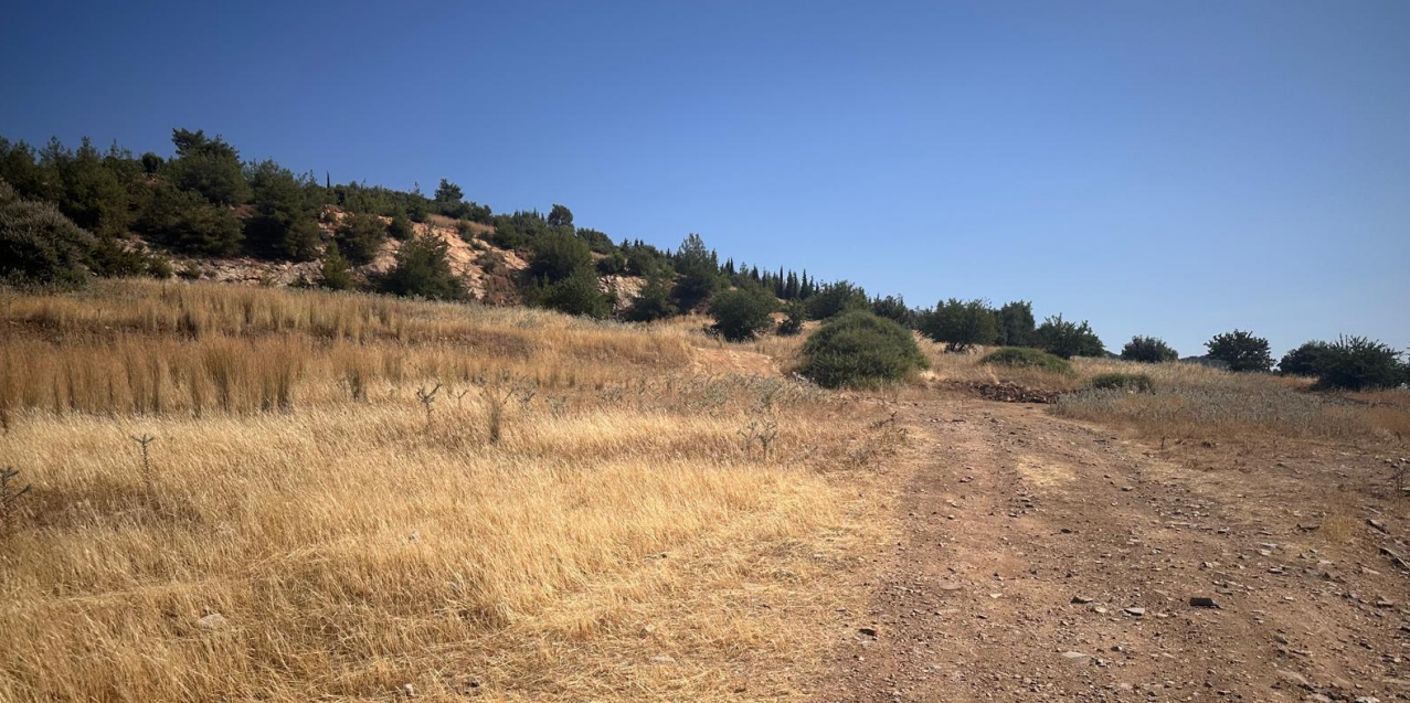 ÇED süreci sonlandırıldı