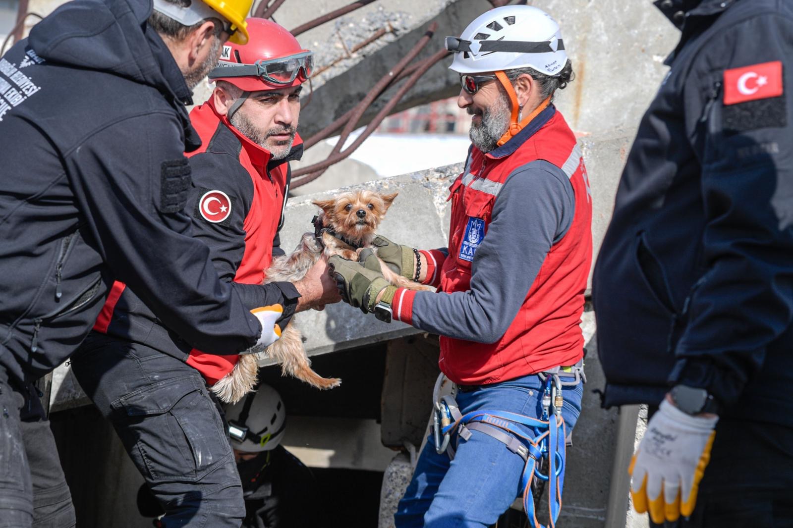 Depremde Yalnız Değiller! 1