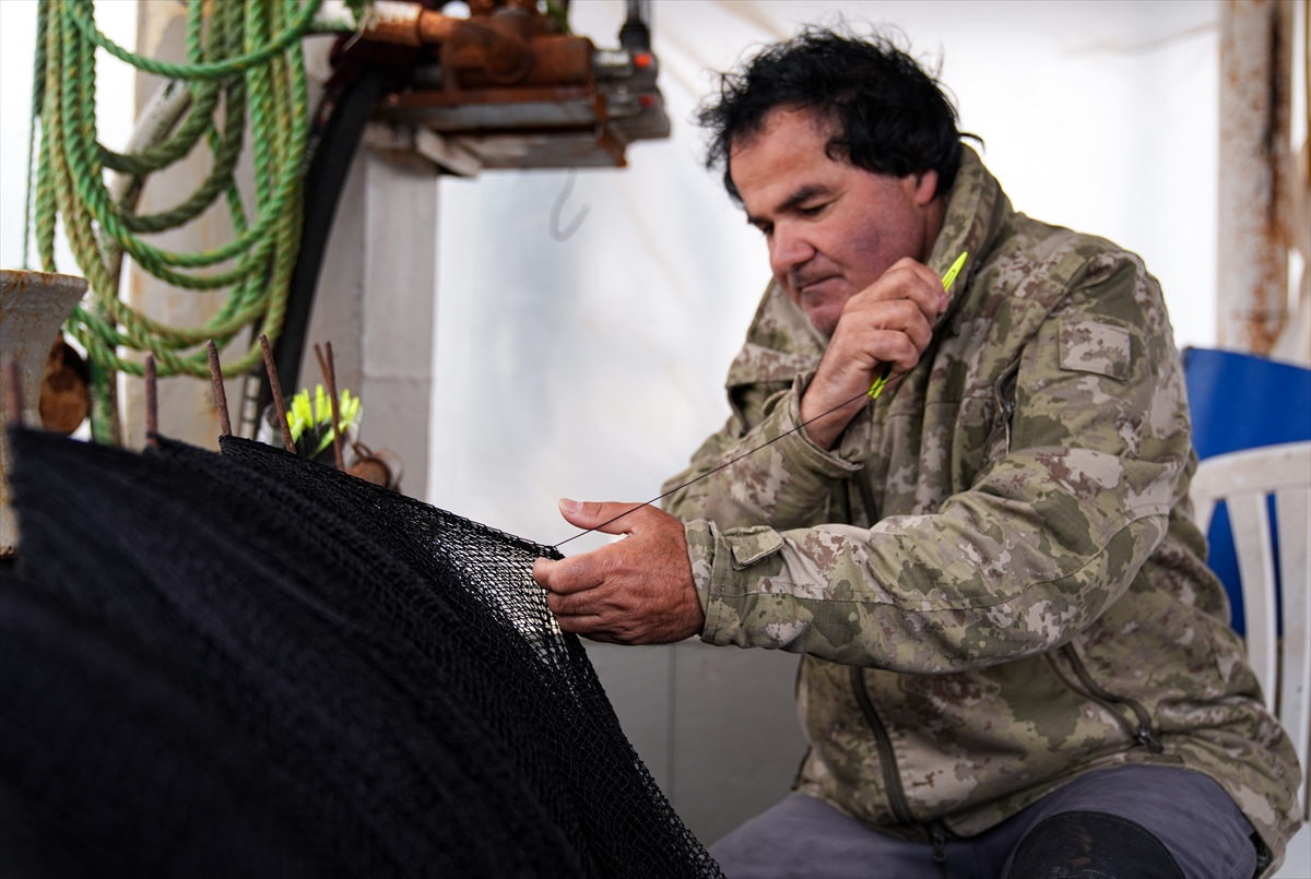 Sektör temsilcilerinden "Hamsi ve Sardalya" vurgusu